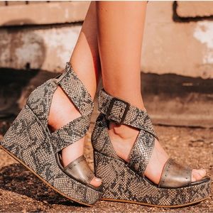 Freebird “TERRA”